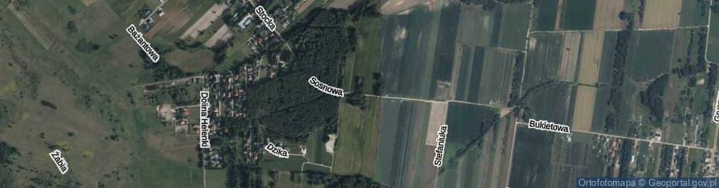 Zdjęcie satelitarne Sosnowa ul.